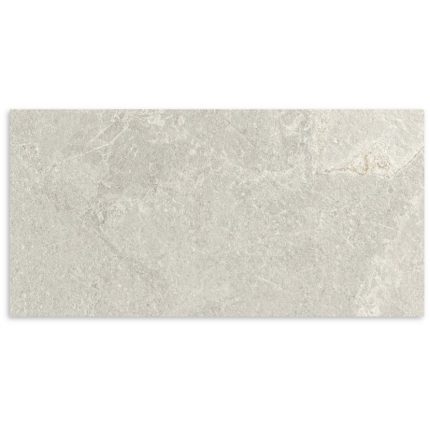 Ardesia Silver Honed Tile 600x1200