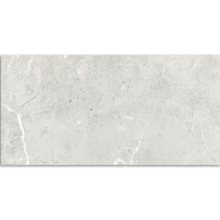 Bora Light Grey Polished Tile 300x600