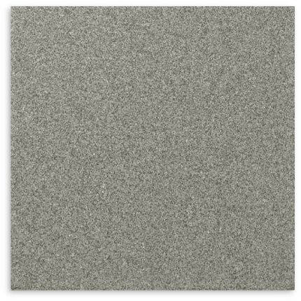 Dotti Dark Grey R11 Tile 300x300