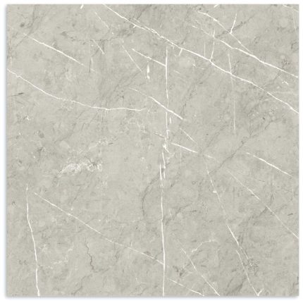 Suburban Project Grey Lappato Tile 450x450