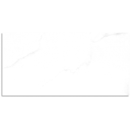 Carrara Bianco Gloss Wall Tile 300x600