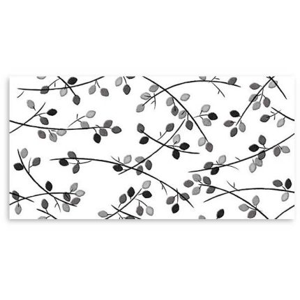Folio Young Birch Raven (Gloss) Wall 300x600