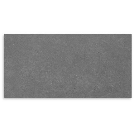 Paradigm Graphite Matt Tile 300x600