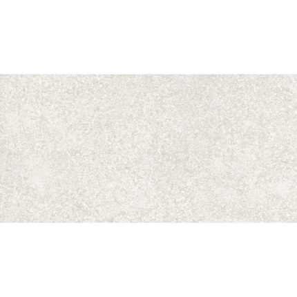 Triana Grey Gloss Wall Tile 300x600