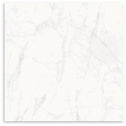 Carrara Grey Polish Tile 600x600
