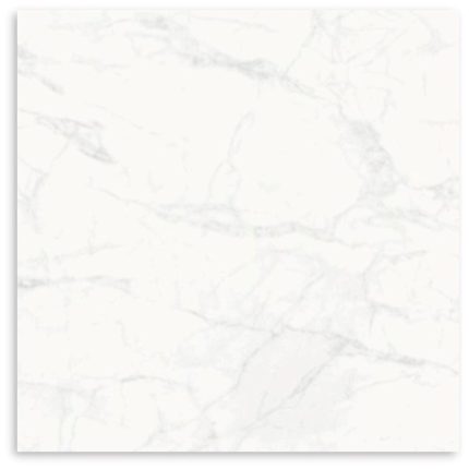 Carrara Grey Matt Tile 600x600