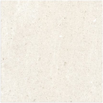 BaySide Champagne Shell Matt Tile 600x600
