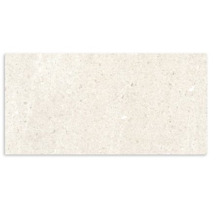 BaySide Champagne Shell Matt Tile 300x600