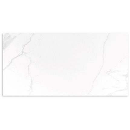 Charm Carrara Gloss Wall Tile 300x600